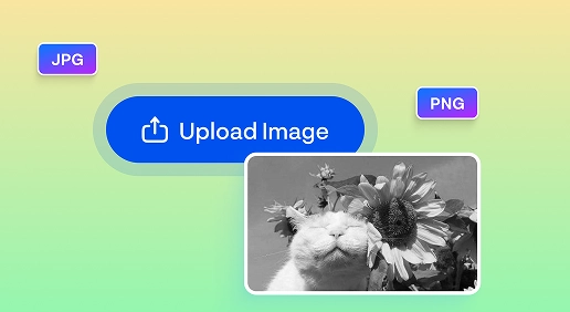 Upload the photo